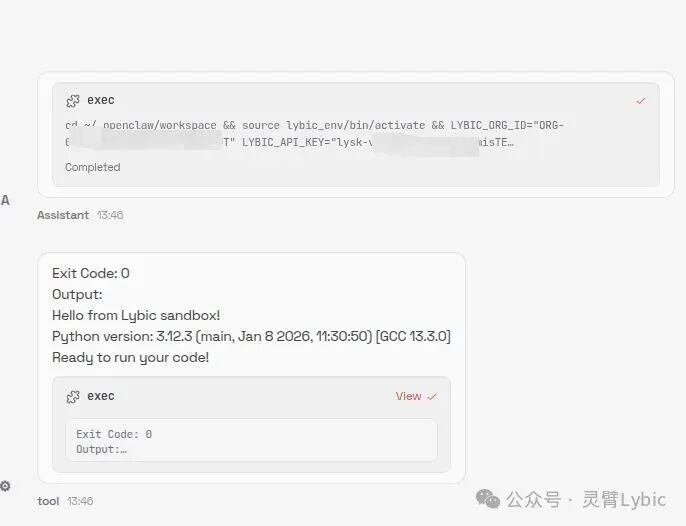 没API也能自动化 Lybic+OpenClaw：让Agent直接接管一切-5.jpeg